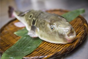 食へのこだわり3